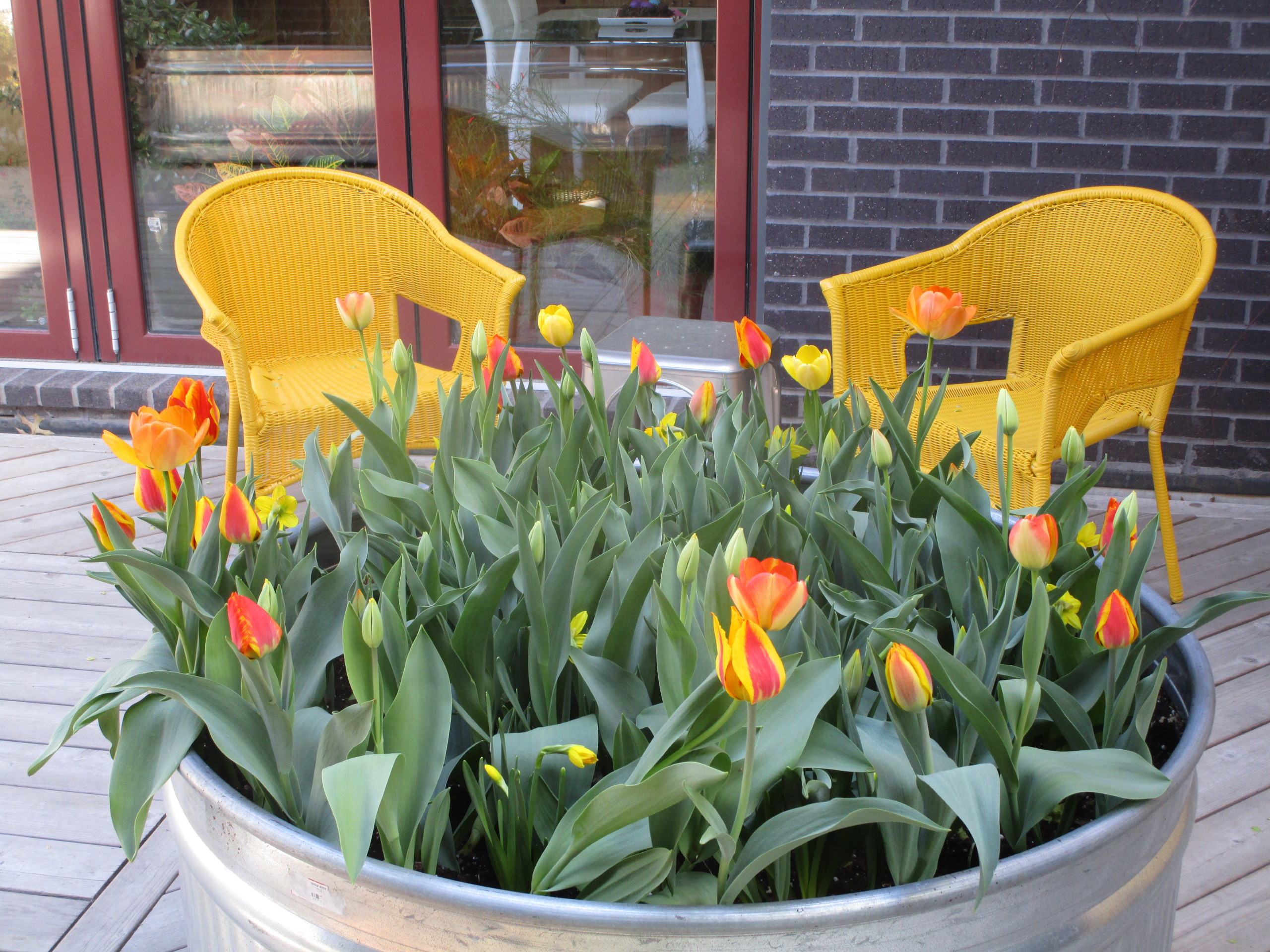 Spring Gardens $