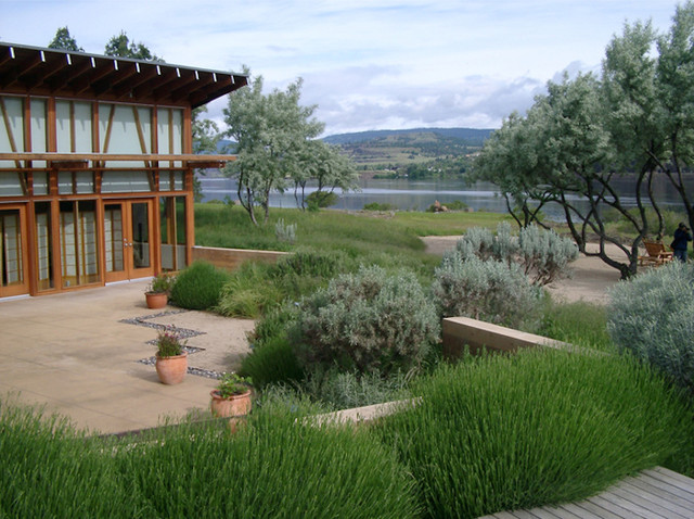 Native Landscape Restoration contemporary-garden