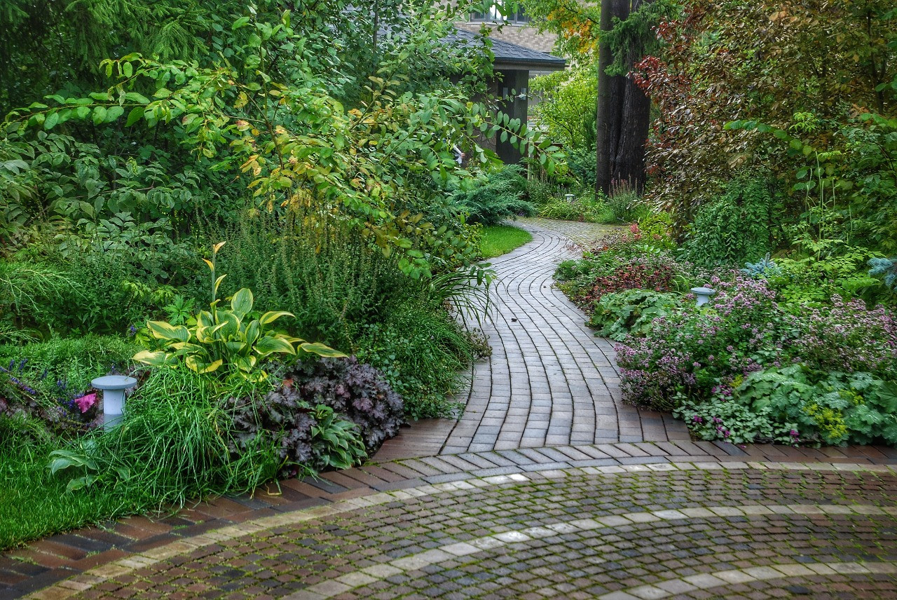 и на камнях растут цветы