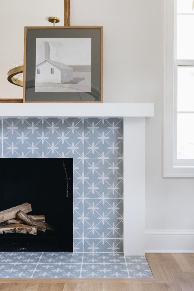Home design - transitional home design idea in Chicago