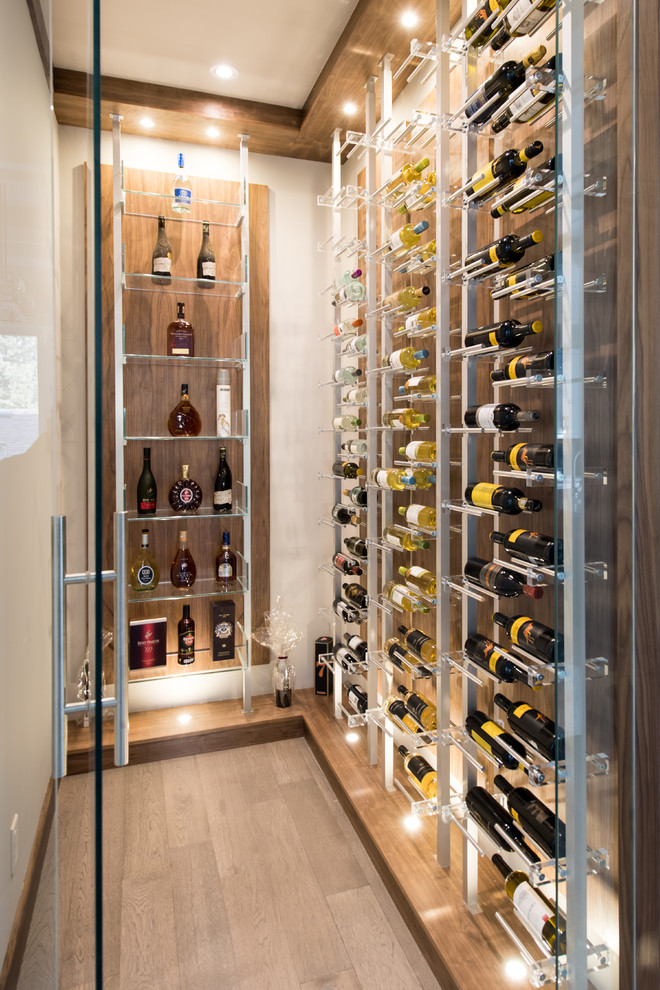 Transitional wine cellar photo in Toronto