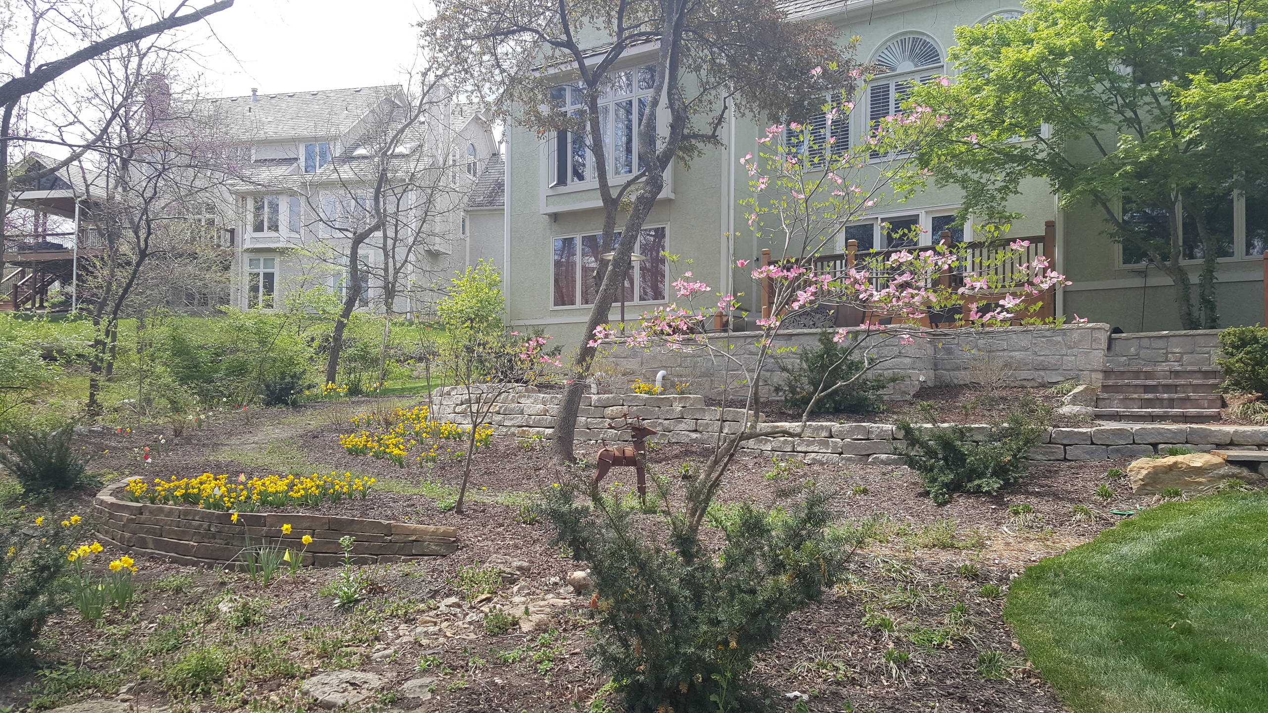 WOODLAND HILLSIDE