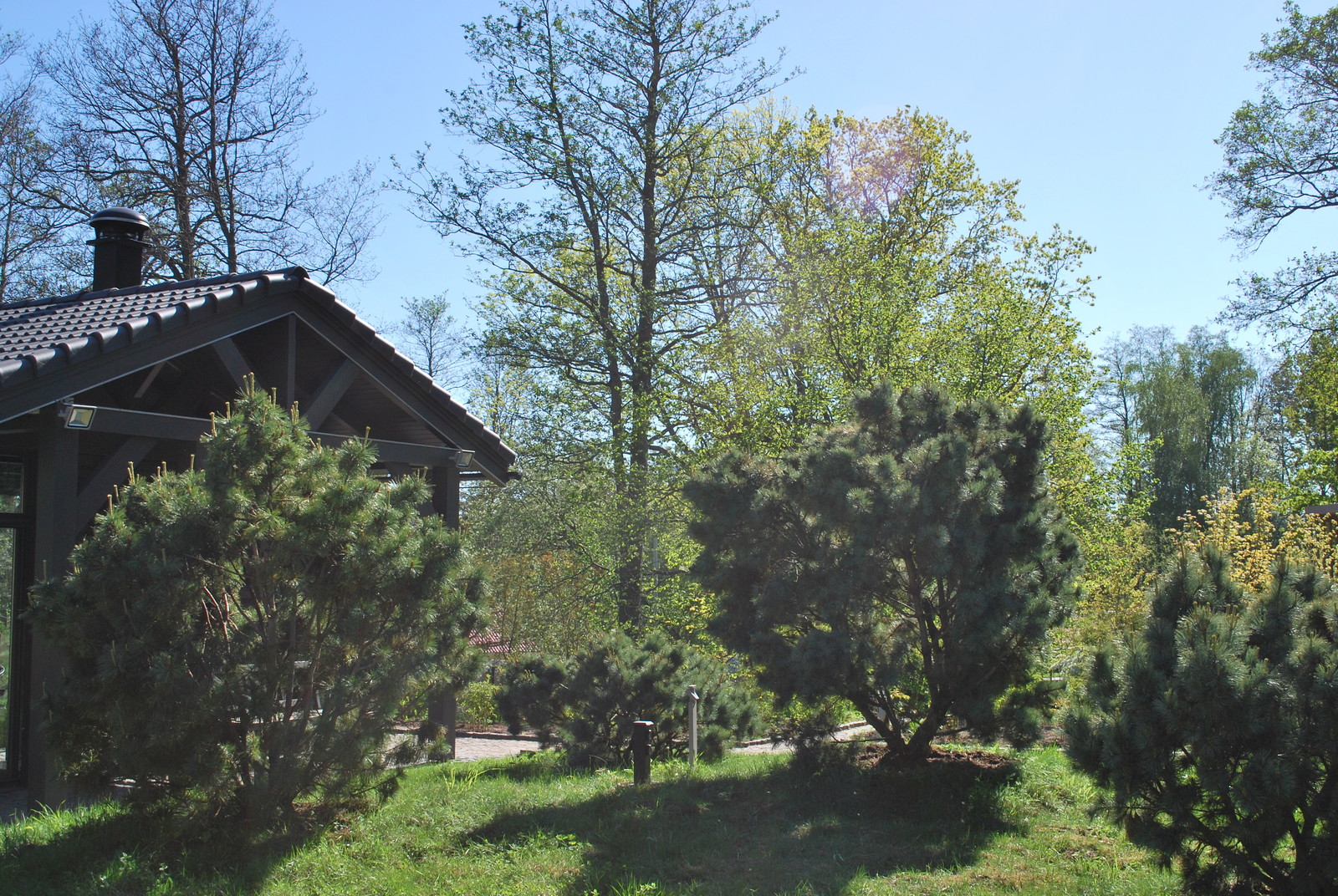 Сад натуралистического стиля