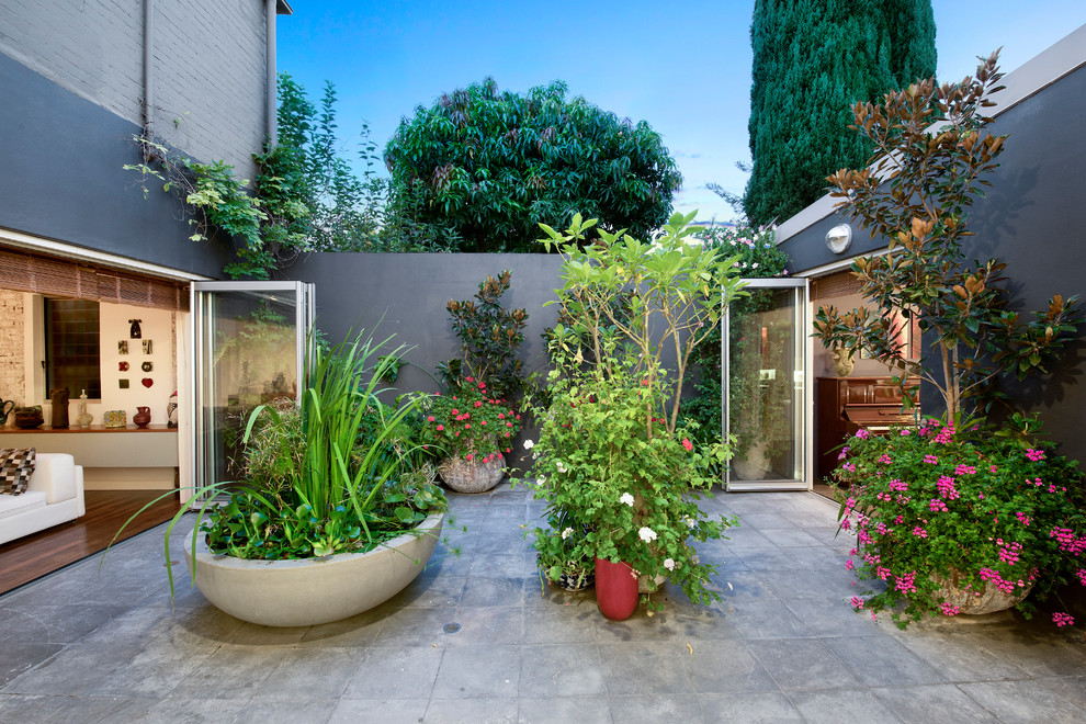 Eclectic courtyard patio in Sydney with concrete pavers and no cover.