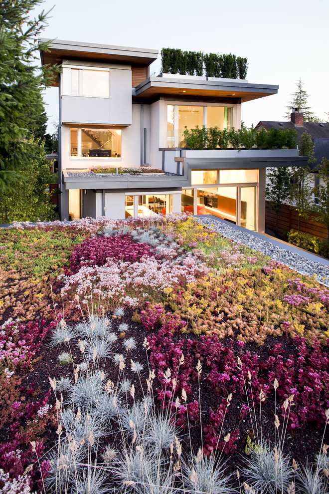 Design ideas for a contemporary rooftop full sun garden in Vancouver.