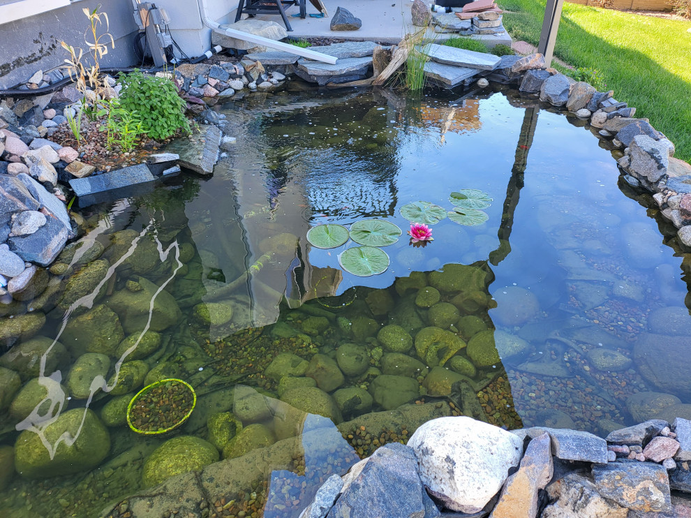 Custom✨ Koi Pond