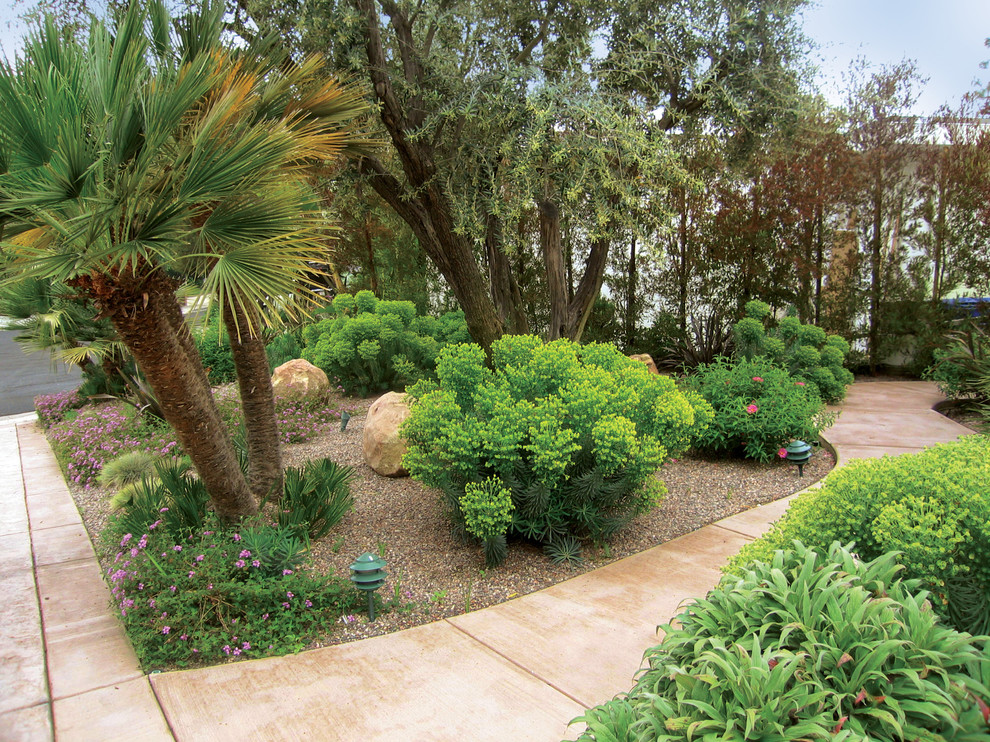 Design ideas for a large mediterranean backyard full sun xeriscape in Los Angeles with a garden path and concrete pavers.