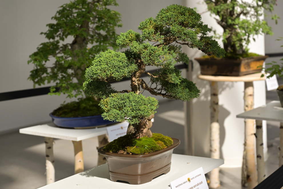 Первый Евразийский Форум ландшафтного искусства "Атмосфера"