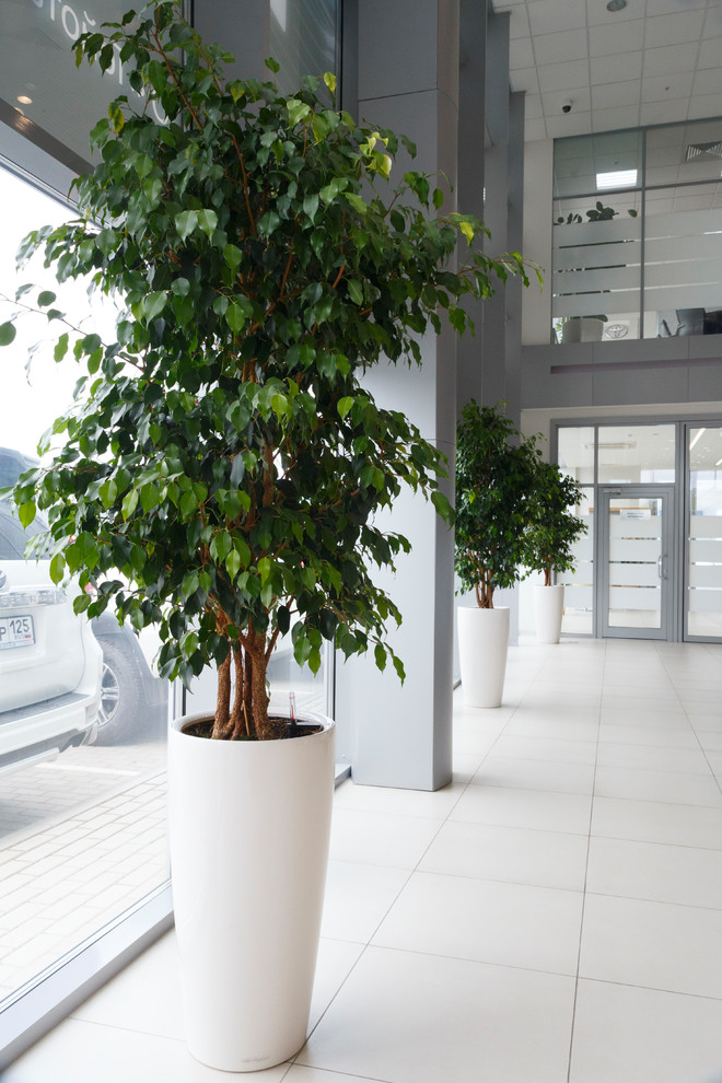 Toyota Center Vladivostok