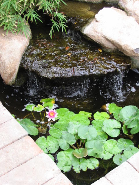 Pools and Waterfeatures landscape