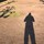 frederic_linant
