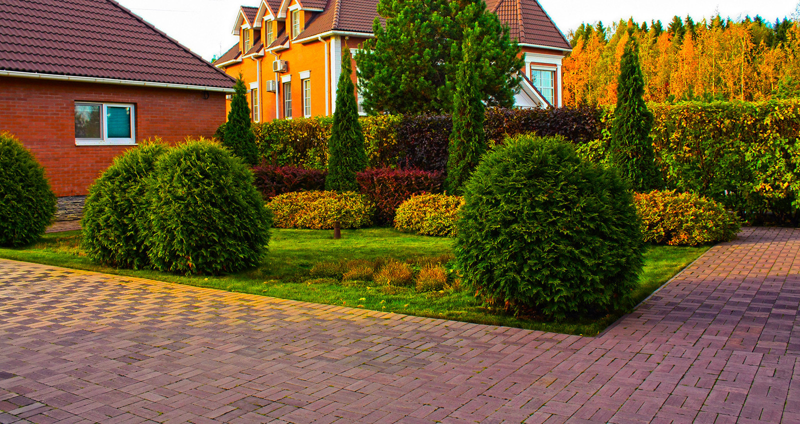 Туи и живая изгородь в партерном цветнике.