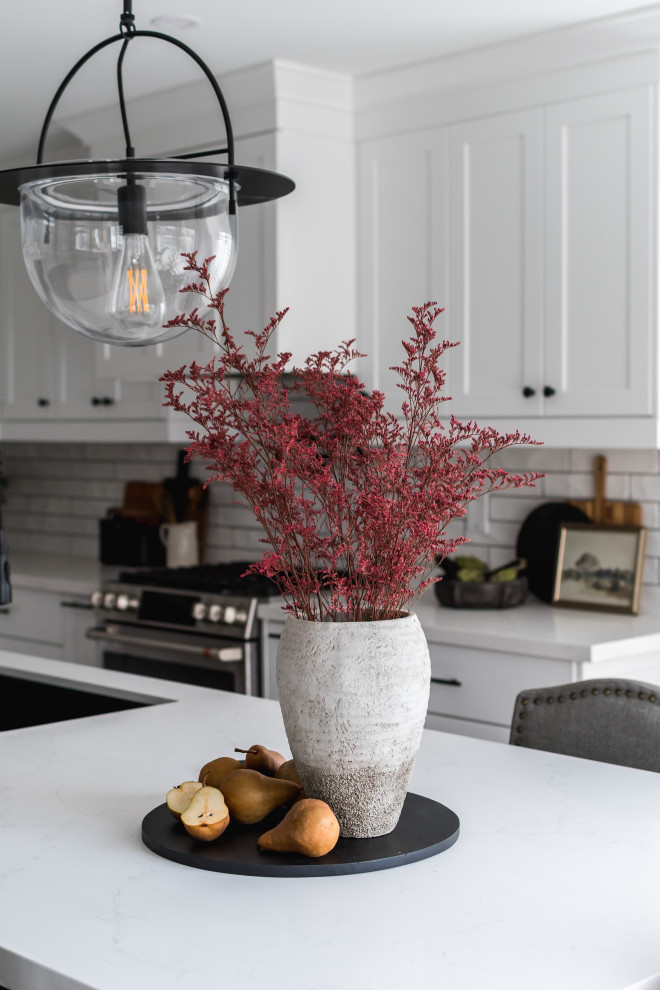 Transitional kitchen photo in Toronto