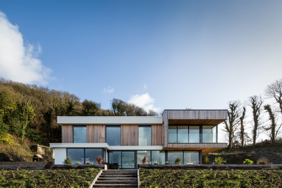 Ispirazione per la villa moderna di medie dimensioni con rivestimento in legno, tetto piano e pannelli e listelle di legno