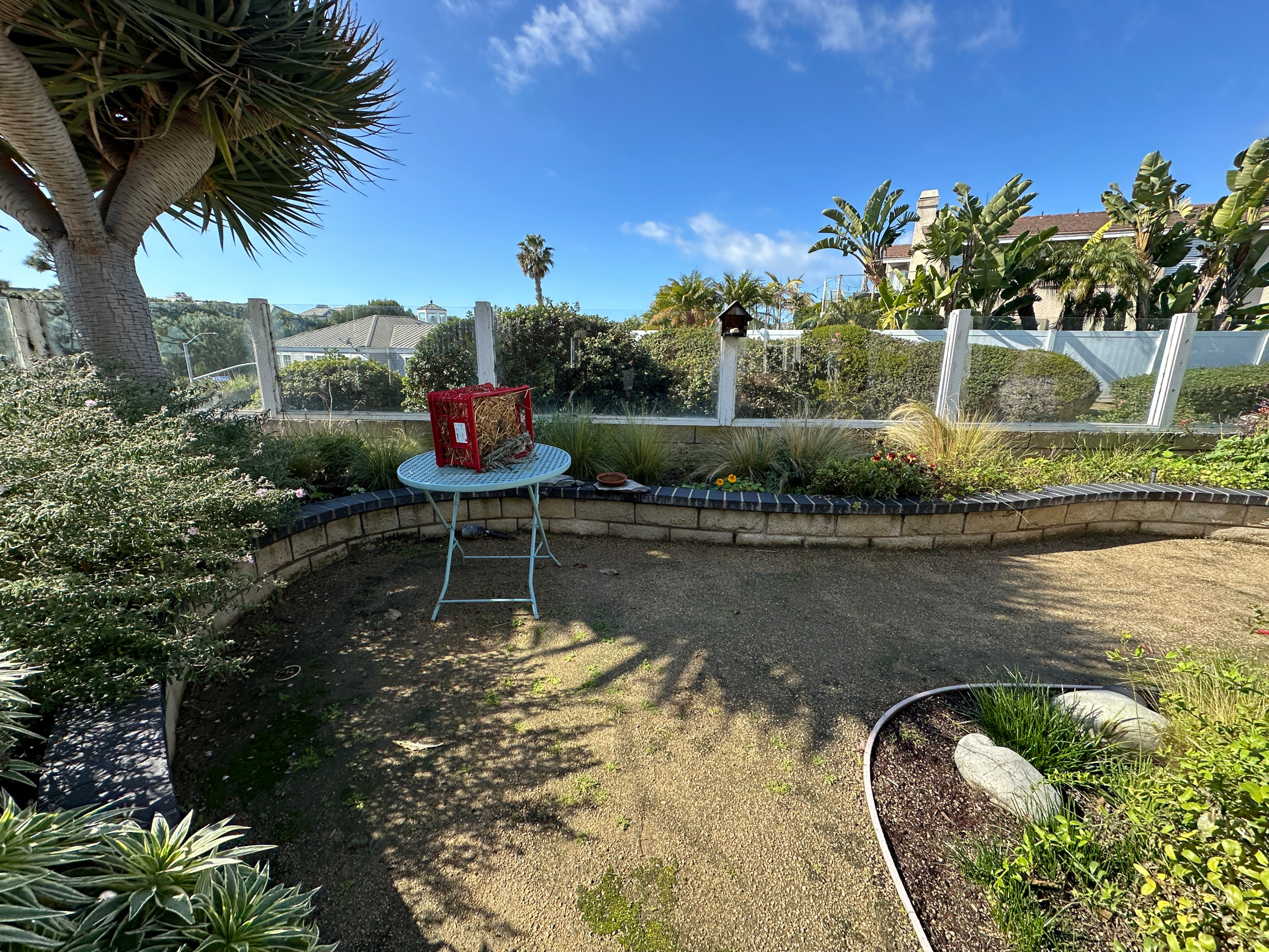 Naturalistic Drought-Tolerant Potager Garden