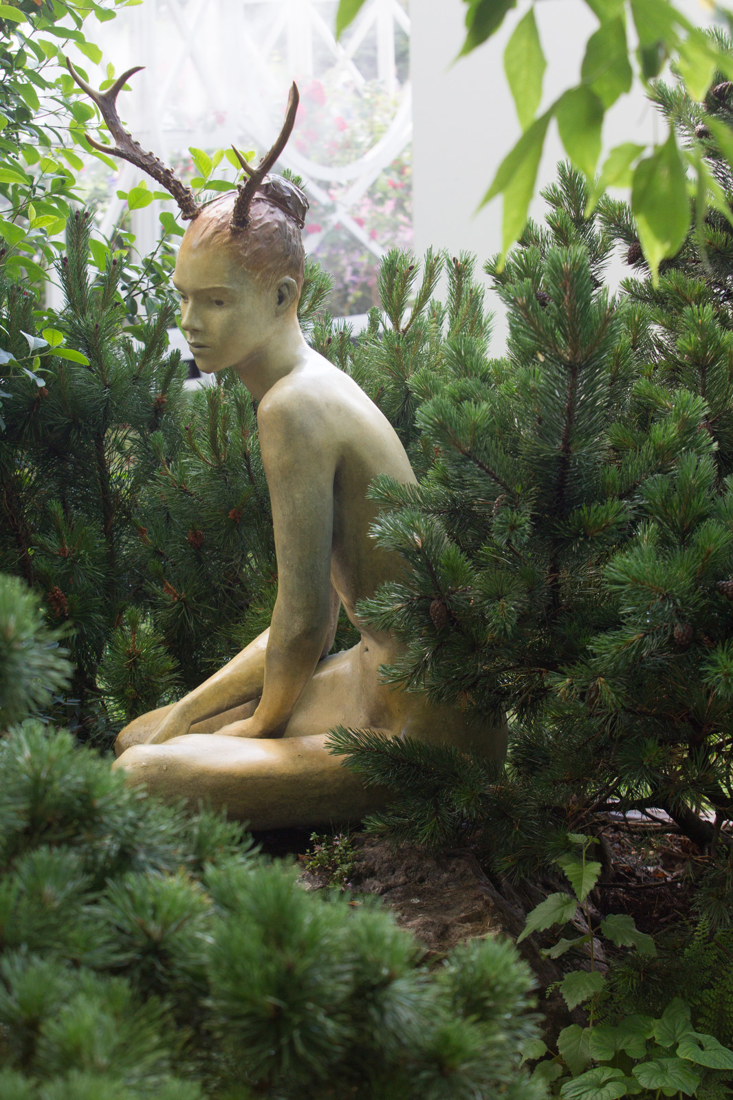 Фотосъёмка сада   Mark  Eveleigh(+Gigi Cameron) на   MoscowFlowerShow2017