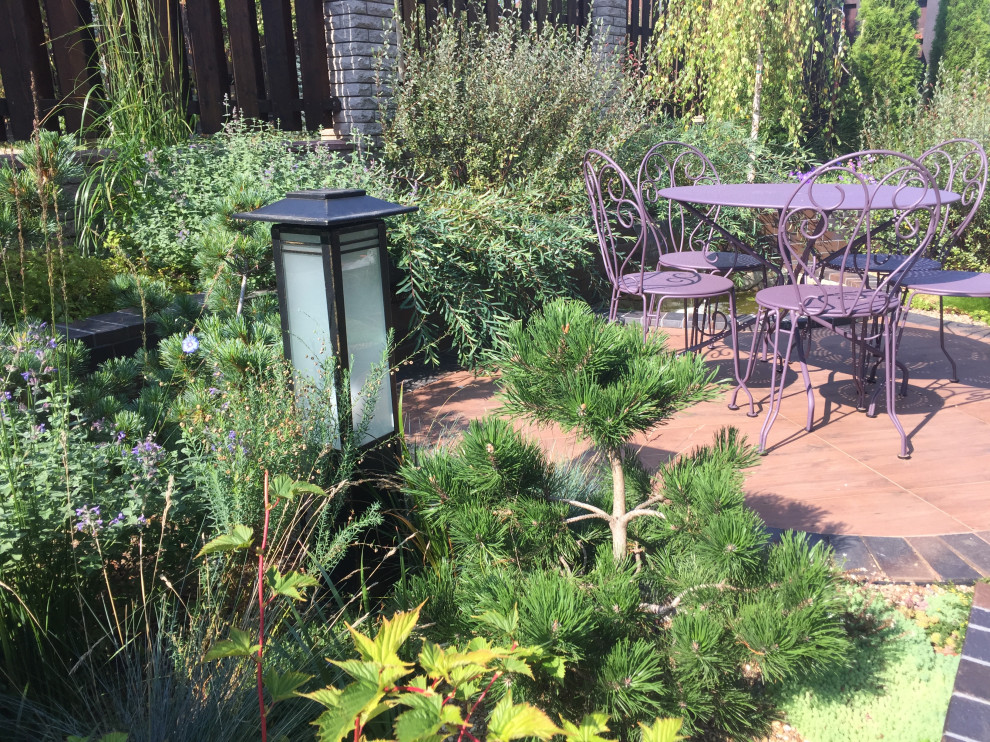 Александрово. Первый год жизни