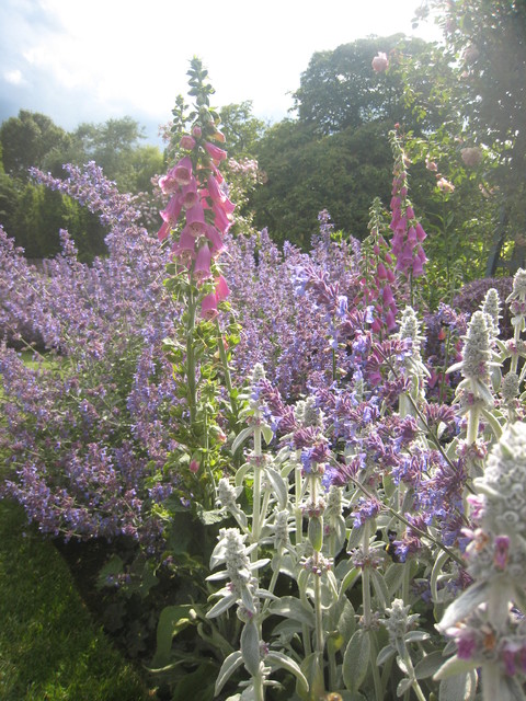 The Manor House garden