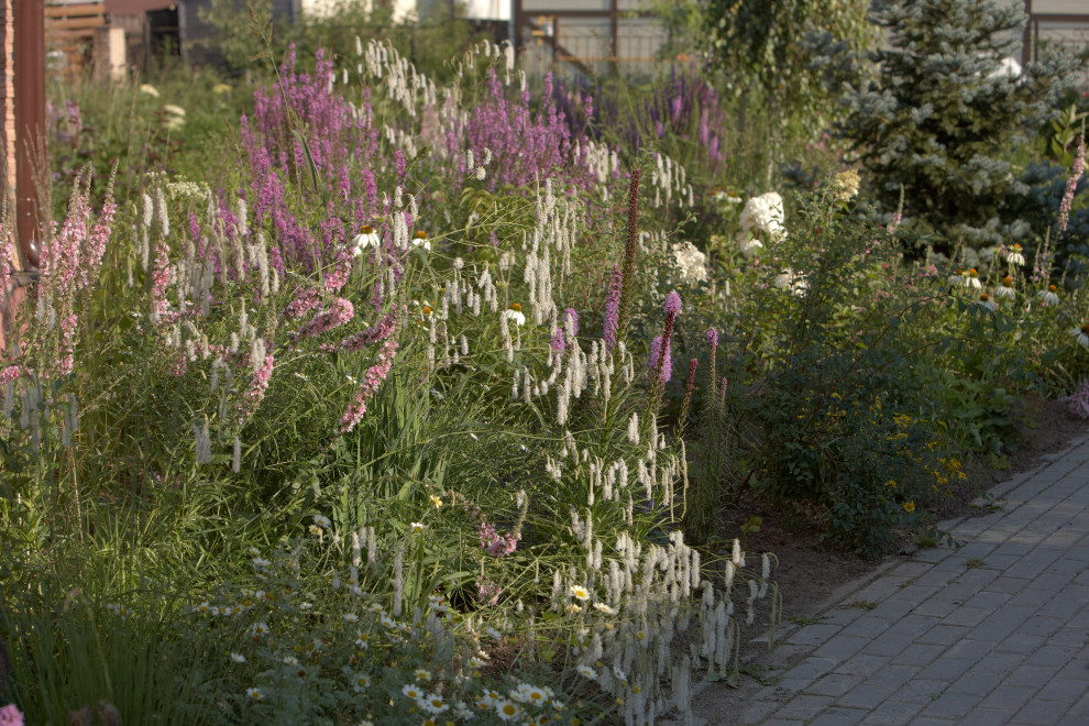 Отражение в каплях росы