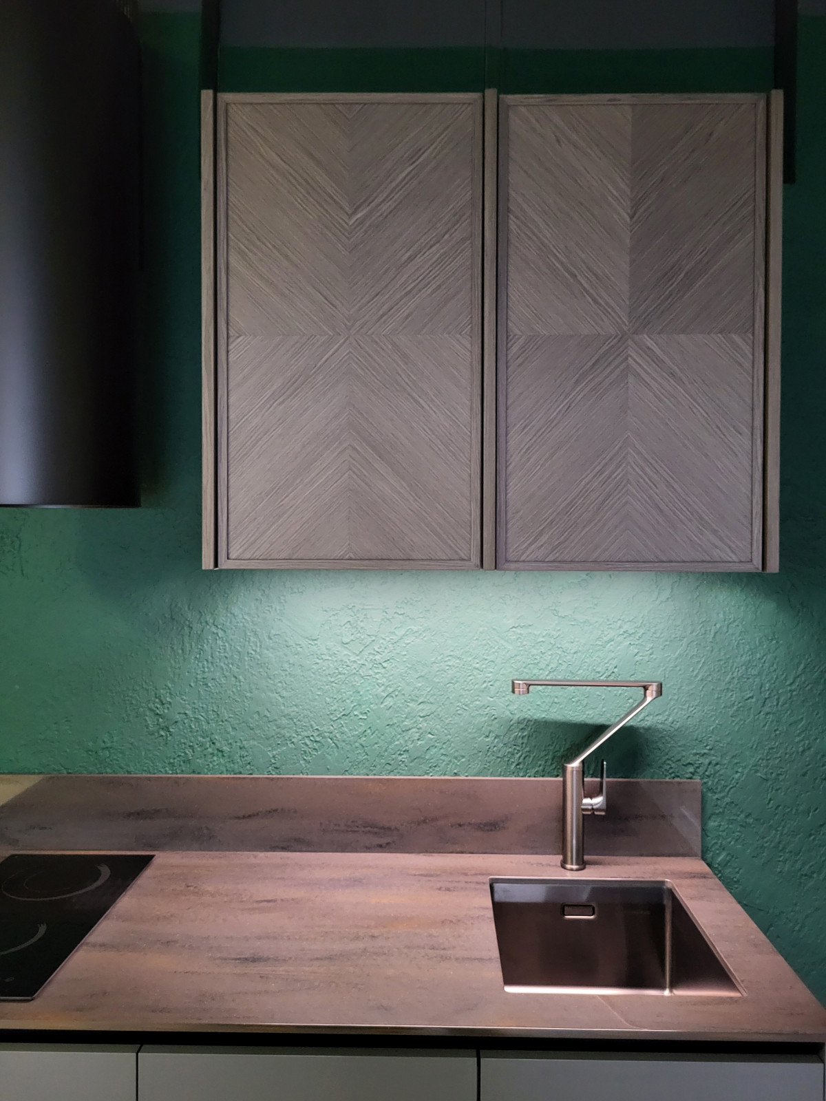 Fenix Verde Comodoro