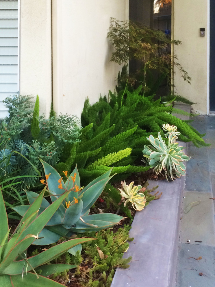 Photo of a large modern front yard shaded garden in Los Angeles with a garden path and concrete pavers.