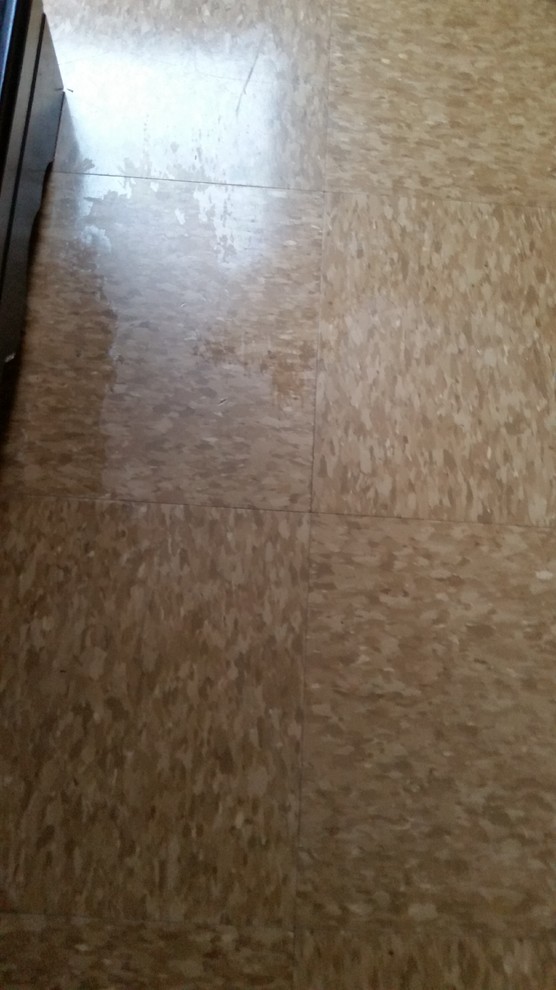 Linoleum pet stain (hazzy spots)