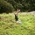 danielle_orlick
