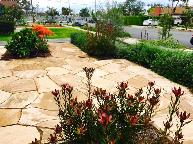 Design ideas for a small beach style front yard full sun garden in Los Angeles with natural stone pavers.