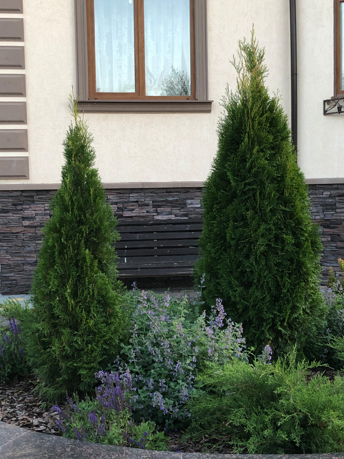 Волны и круг