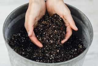 10 Ways to Make Your Garden More Productive (14 photos)