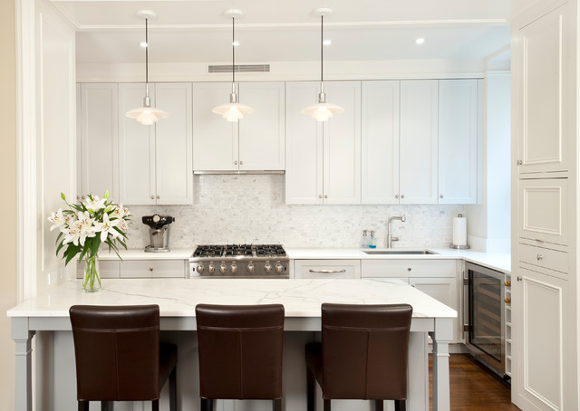 Upper West Side Classic Six transitional-kitchen
