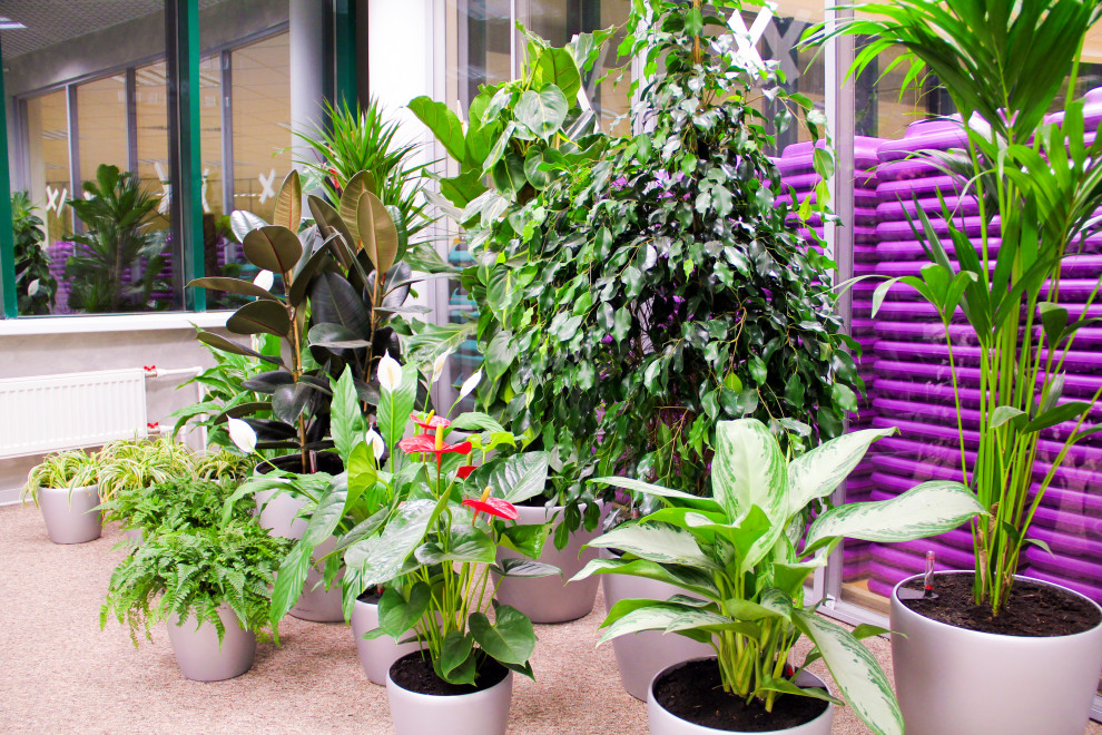 Калуга, Сбербанк, 2010 г.