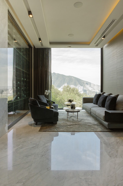 La Ventana contemporary-family-room