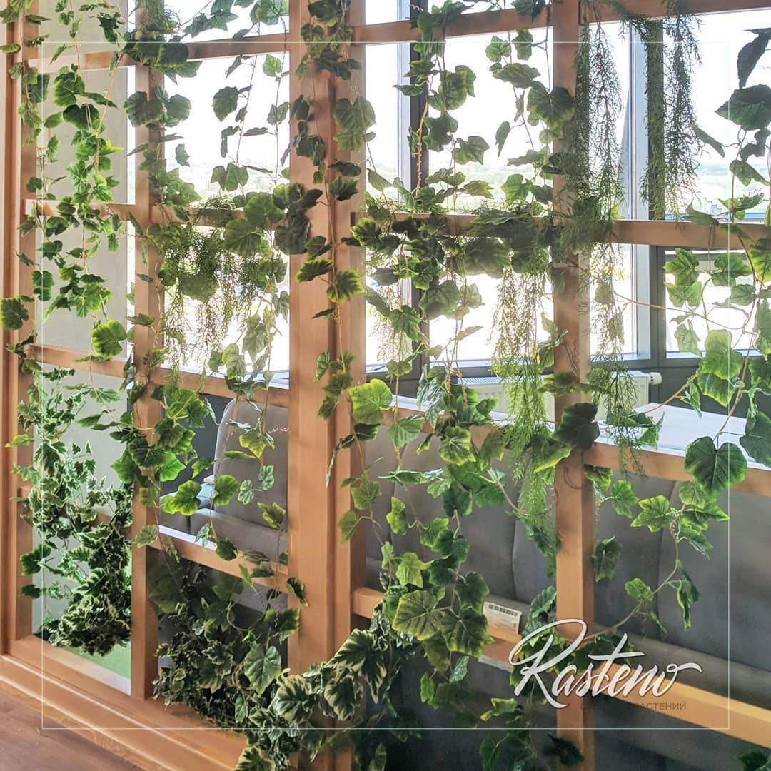 Искусственные растения и силиконовые имитации растений