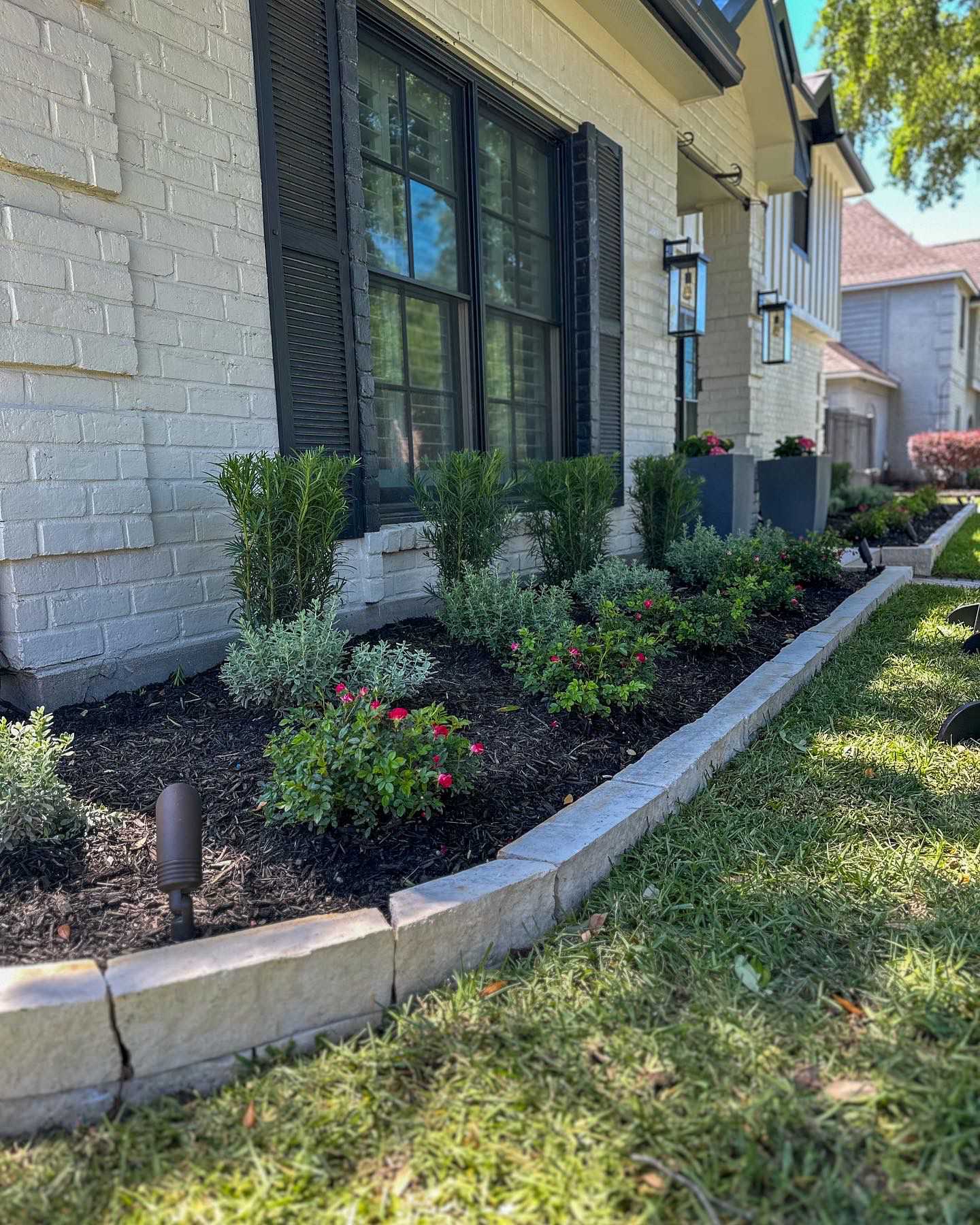 Front and Back yard makeover in Del Monte HTX