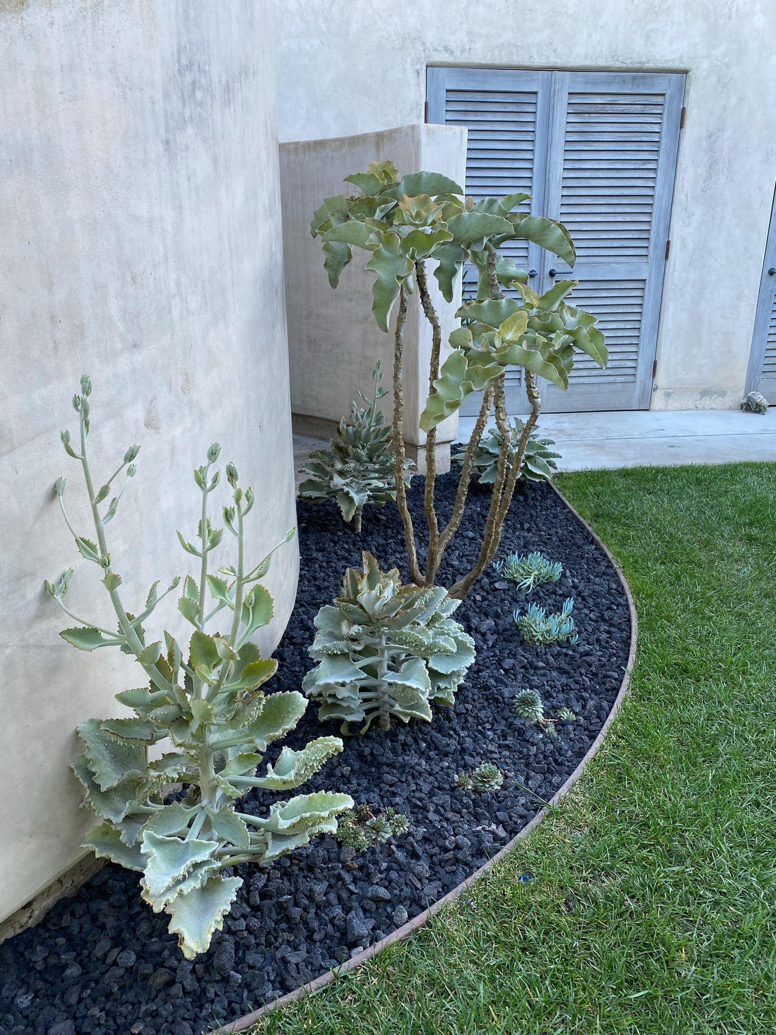 Private Los Angeles Oasis