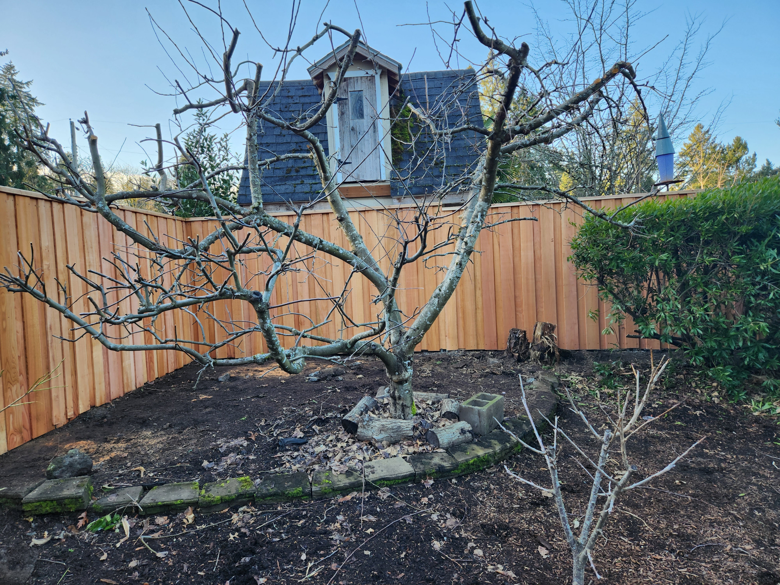 Privacy fence overlapped with clear cedar with metal post