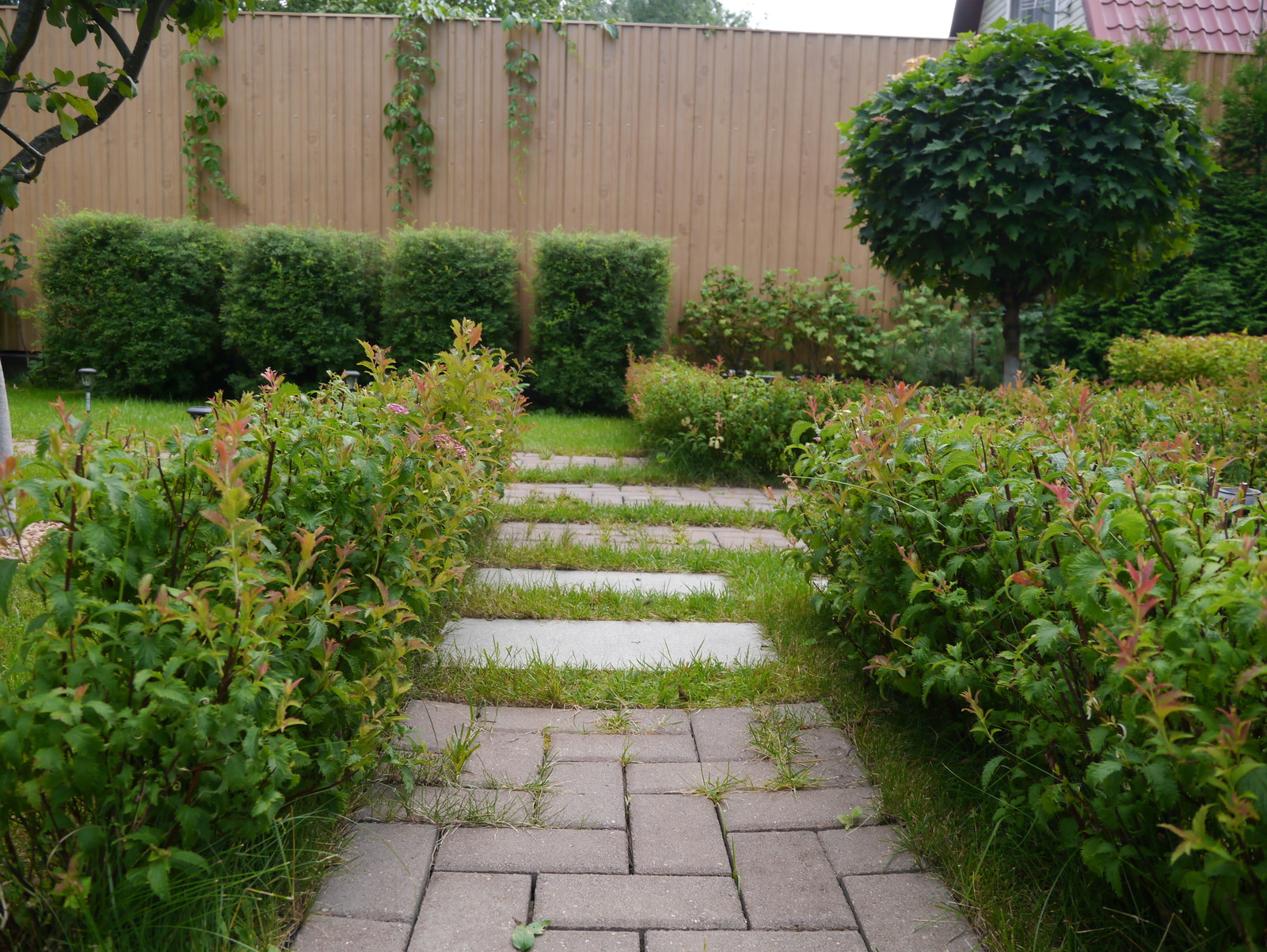 Дворик на 2-х сотках