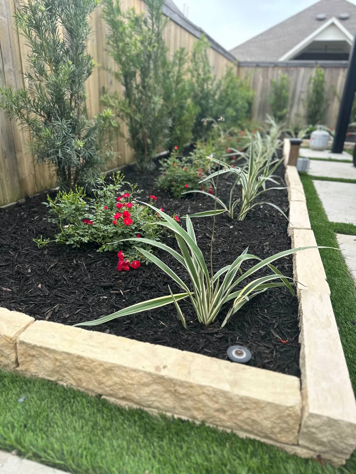 Backyard paradise in Bridgeland