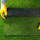 Artificial Turf Nashville