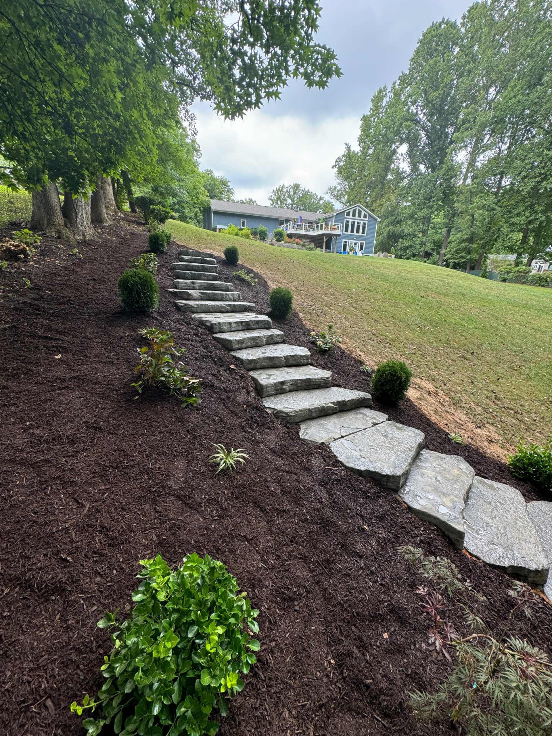 Our Work