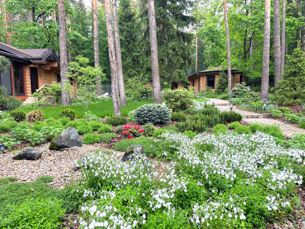 Заповедный Бор 2