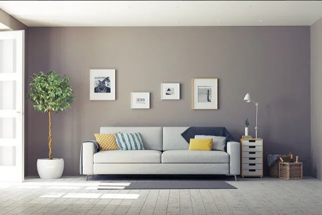 Living Room Designs