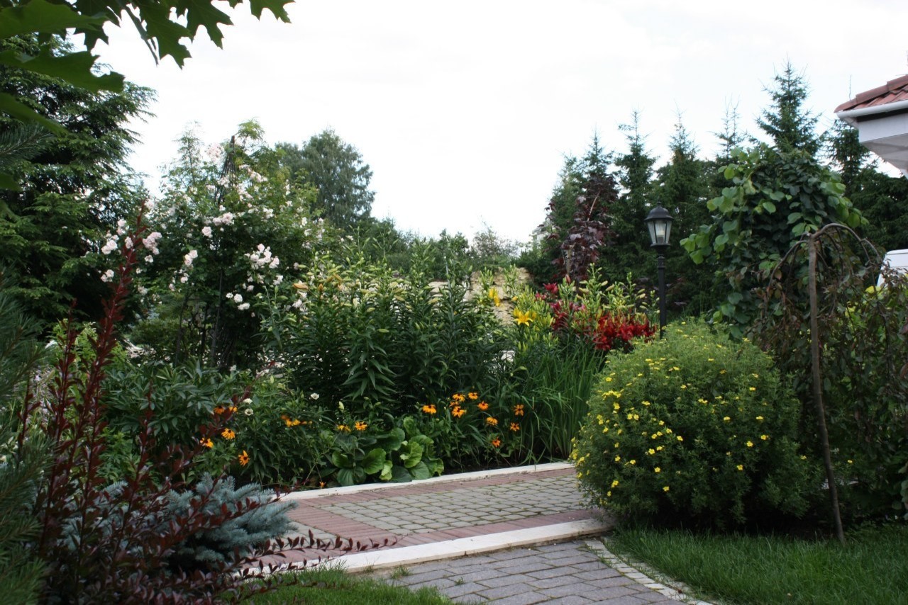 Участок в Парголово