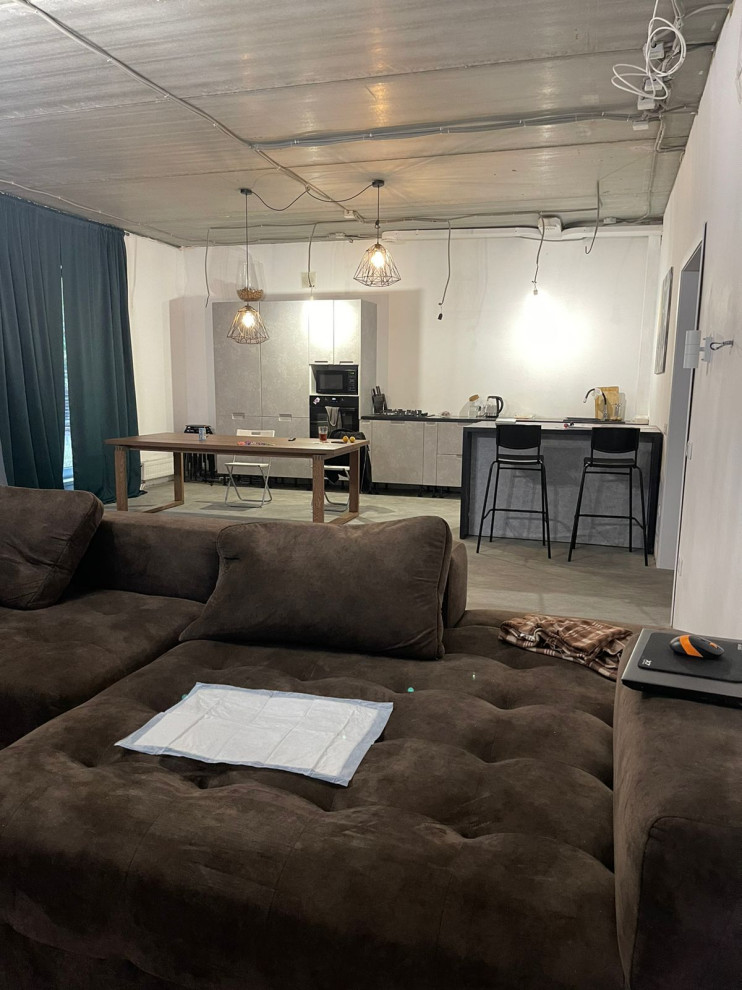 Преображение пространства кухни-гостиной в стиле Лофт