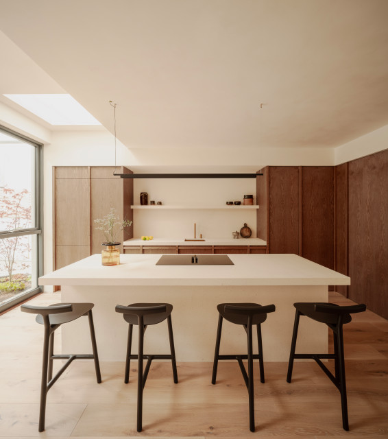 Contemporary House, Killiney trendy-koekken