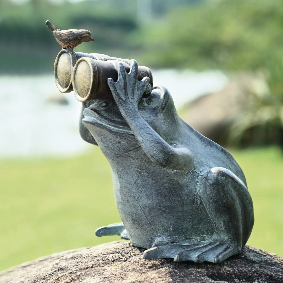 Aluminum Curious Frog Holding Binoculars with a Bluebird Garden Statue