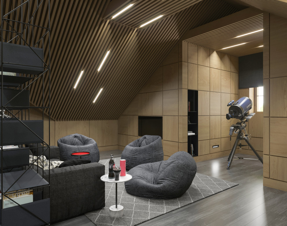 Комната подростка, чердак.