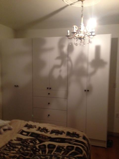 Mid-sized contemporary gender-neutral storage and wardrobe in Toronto with flat-panel cabinets and white cabinets.