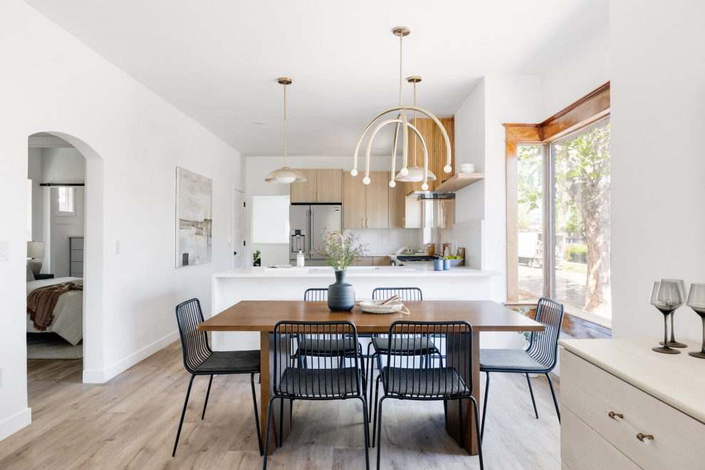 Platt Park Full Home Renovation